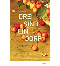 drei sind ein dorf Dina Nayeri