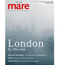 Cover mare 136