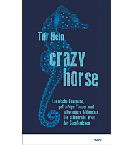 Crazy Horse Till Hein