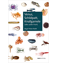 Venus, Schildpatt, Knallgarnele