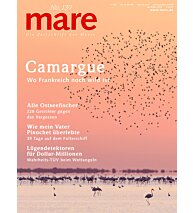 Cover mare 139