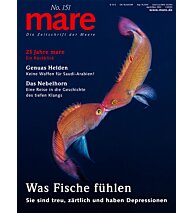 Cover mare 151
