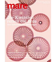 Cover mare 155