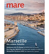 Cover mare 158