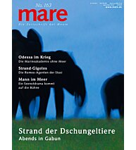 Cover mare 163