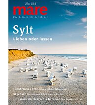 Cover mare 164