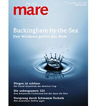 Cover mare 165