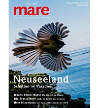 Cover mare 167