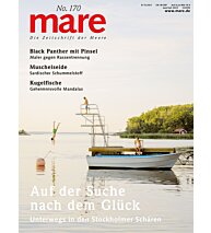 Cover mare 170