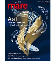 mare No. 175