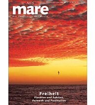 Cover mare 5