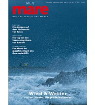 Cover mare 11