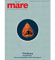 Cover mare 13