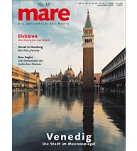 Cover mare 18
