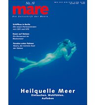 Cover mare 19