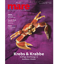 Cover mare 27