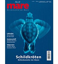 Cover mare 41