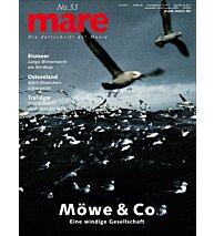 Cover mare 53