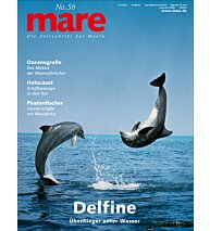 Cover mare 56