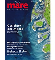Cover mare 72