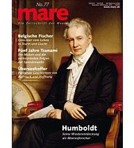 Cover mare 77