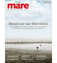 Cover mare 80