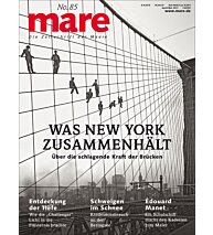 Cover mare 85
