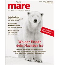 Cover mare 91
