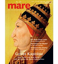 Cover mare 95