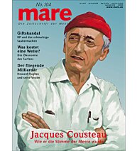 Cover mare 104