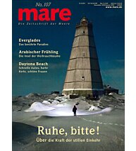 Cover mare 107