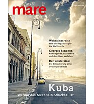 Cover mare 113