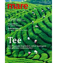 Cover mare 119

