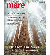 Cover mare 124