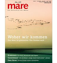 Cover mare 125
