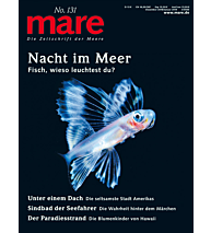 Cover mare 131