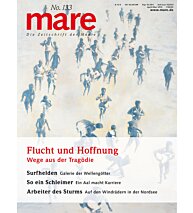 Cover mare 133