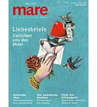 Cover mare 138
