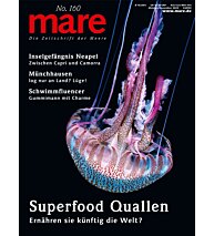 Cover mare 160
