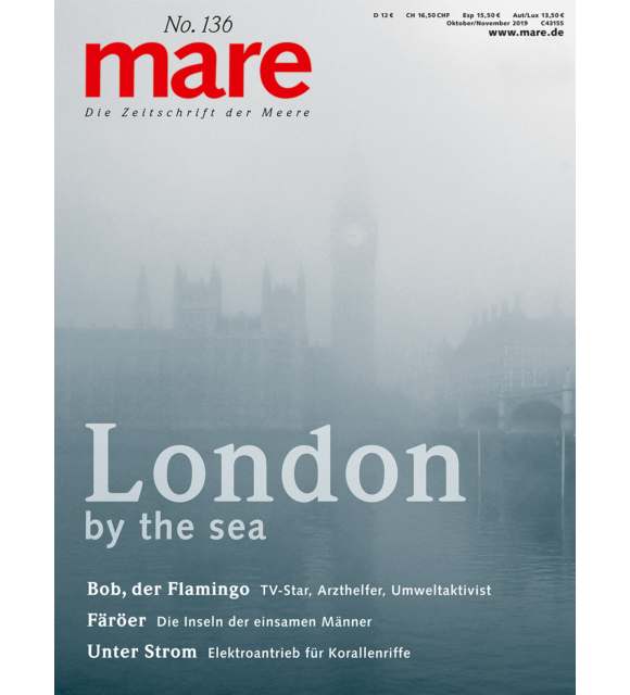 Cover mare 136