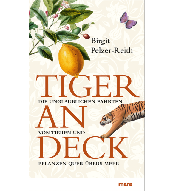 Tiger an Deck