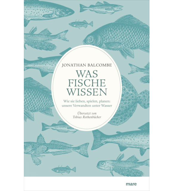 Was Fische wissen