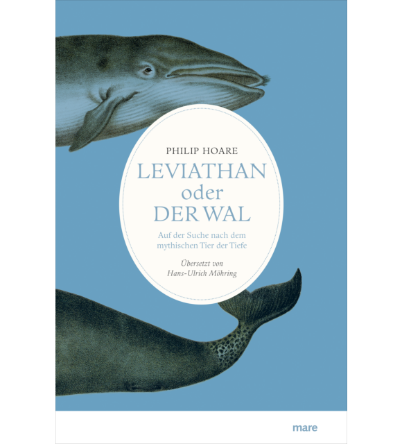 Leviathan oder Der Wal