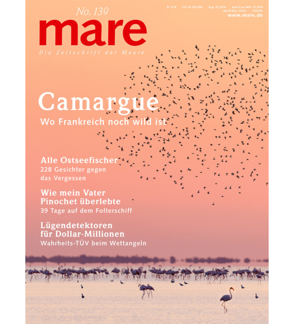 Cover mare 139