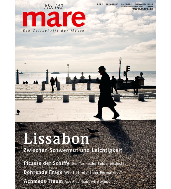 Cover mare 142