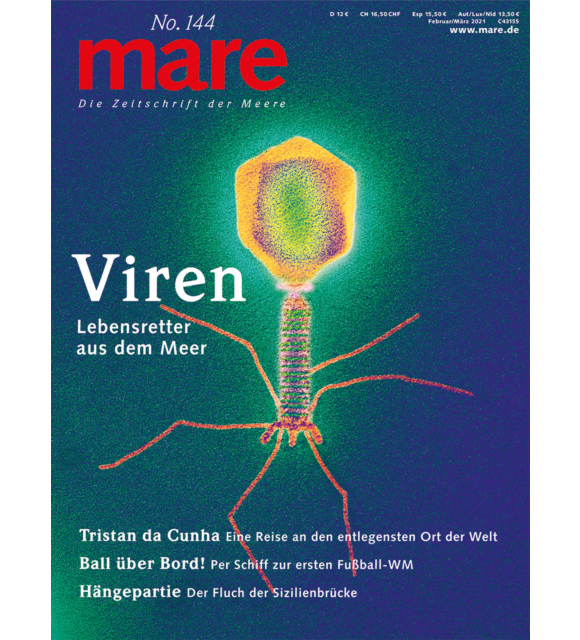 Cover mare 144