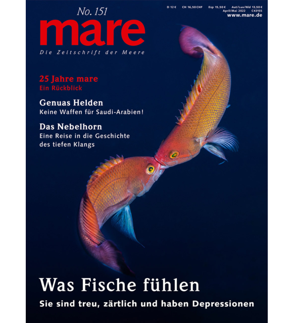 Cover mare 151