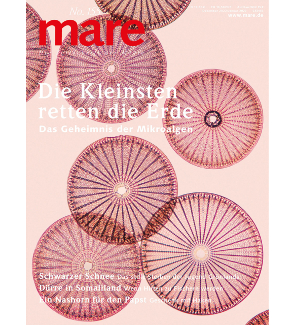 Cover mare 155
