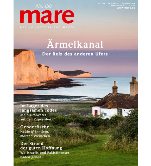Cover mare 156