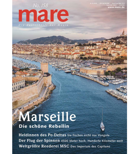 Cover mare 158